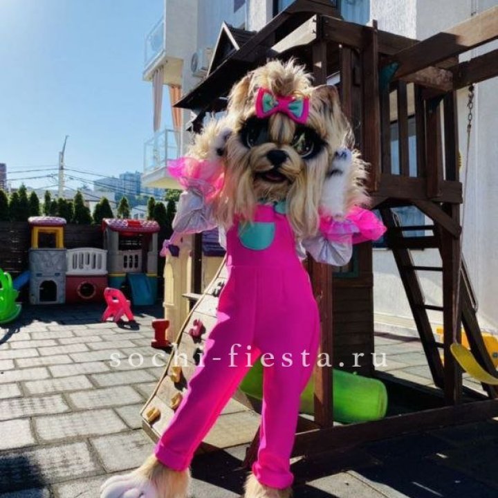 Аниматор Гламурная Собака в Дзержинске