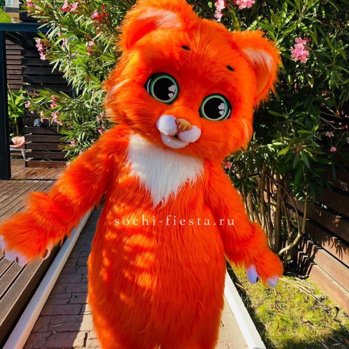 Аниматор Котик в Дзержинске