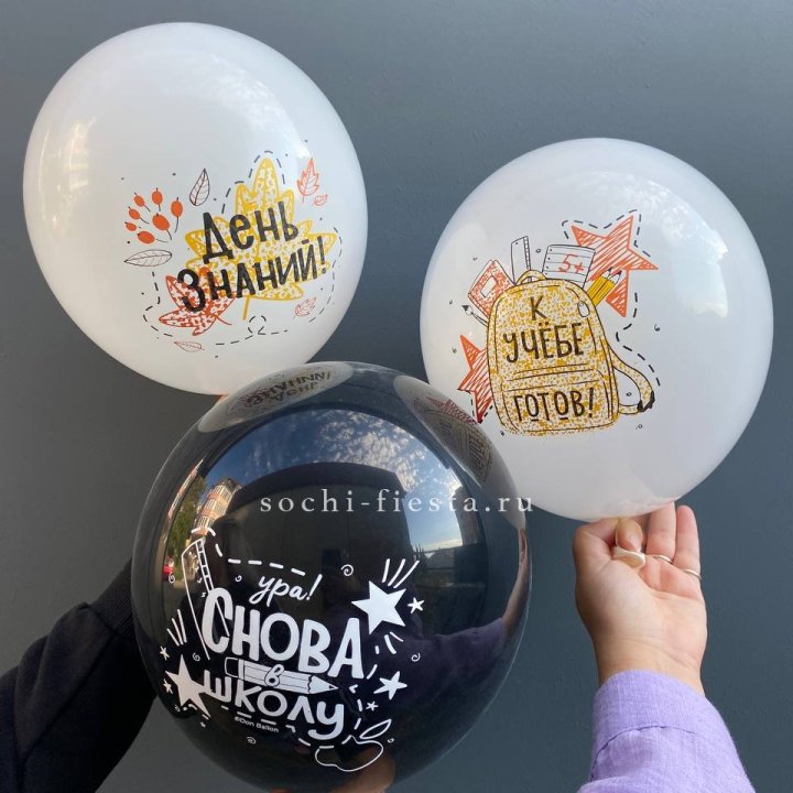 Воздушный шар к 1 сентября в Дзержинске
