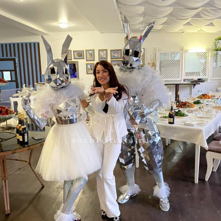 Аниматор Зеркальный заяц в Дзержинске