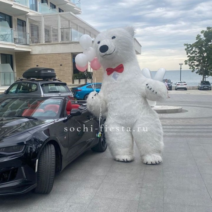 Аниматор Белый Медведь в Дзержинске