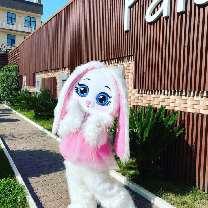 Аниматор Зайка в Дзержинске