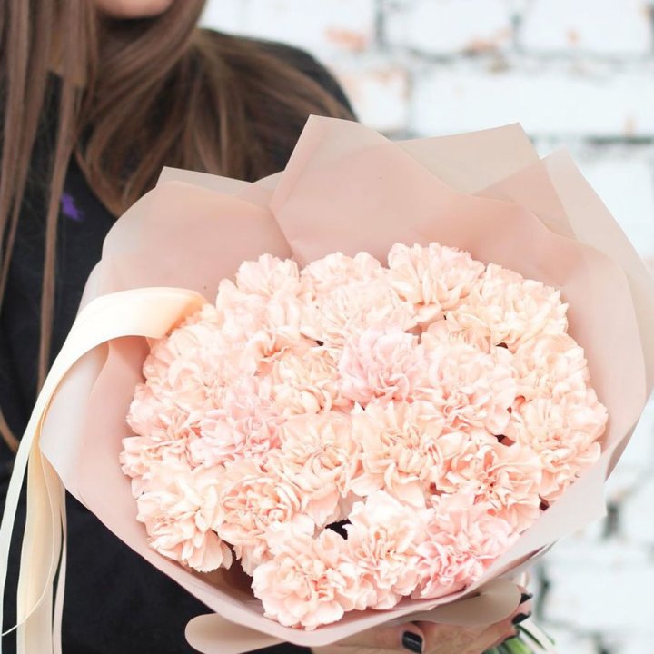 Диантусы №2 в Дзержинске