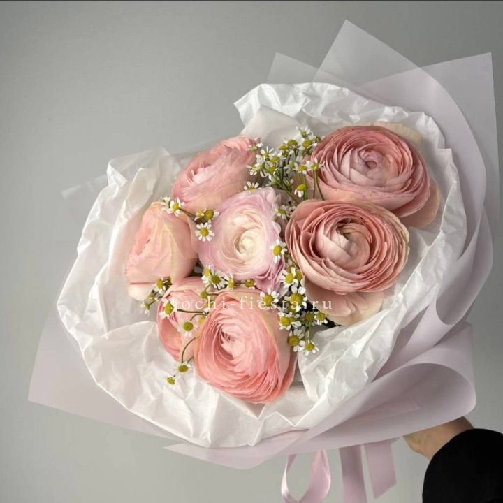 Ранункулюсы с ромашками в Дзержинске