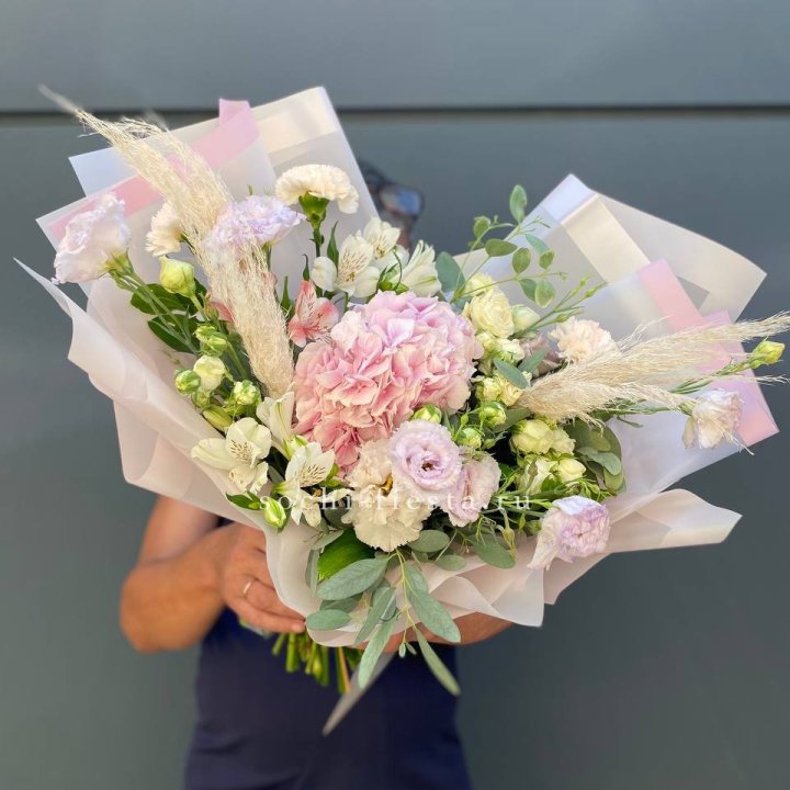 Гортензия "Пинк флоид" в Дзержинске