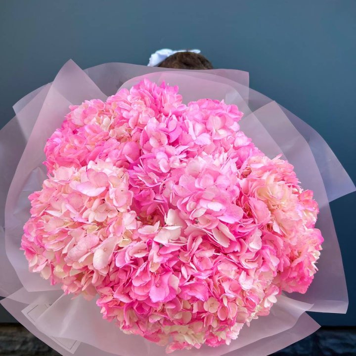 9 ярко розовых гортензий в Дзержинске