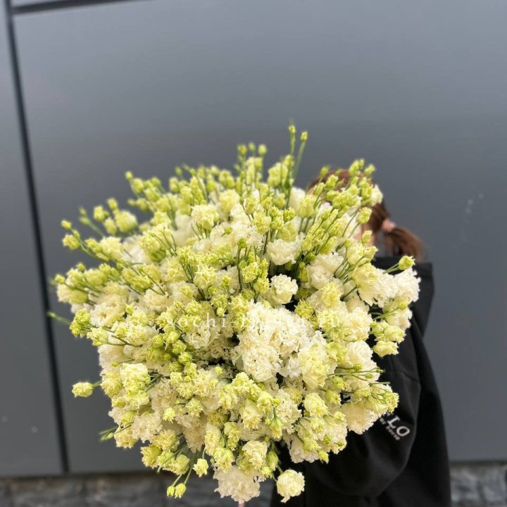 51 белая эустома в Дзержинске