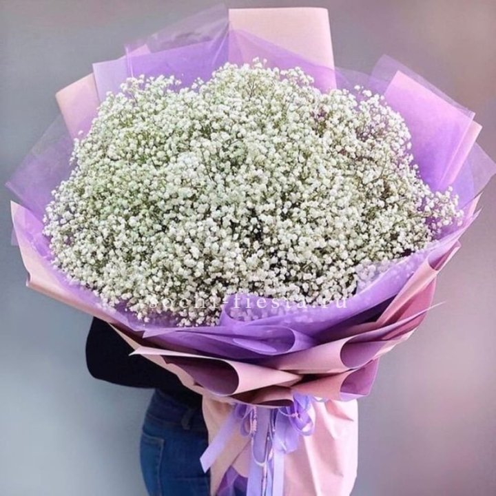 Облако белых гипсофил в Дзержинске