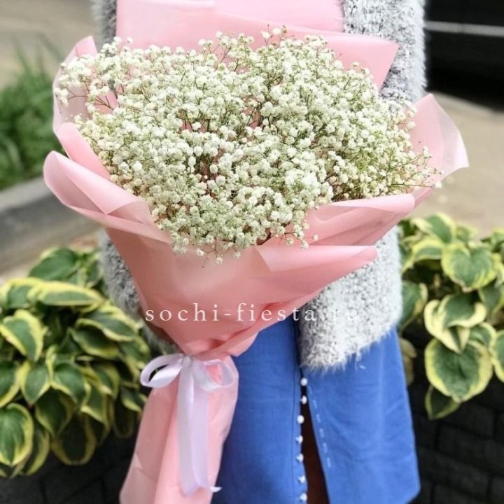 Белоснежные гипсофилы в Дзержинске