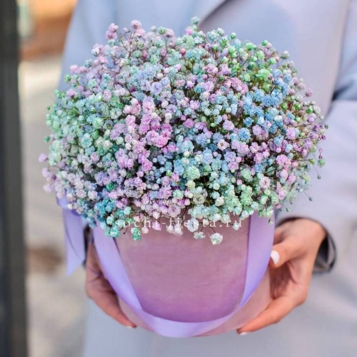 Гипсофилы в шляпной коробке "Кандилайт" в Дзержинске