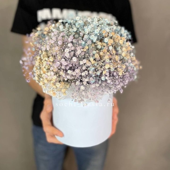 9 Радужных гипсофил в шляпной коробке в Дзержинске