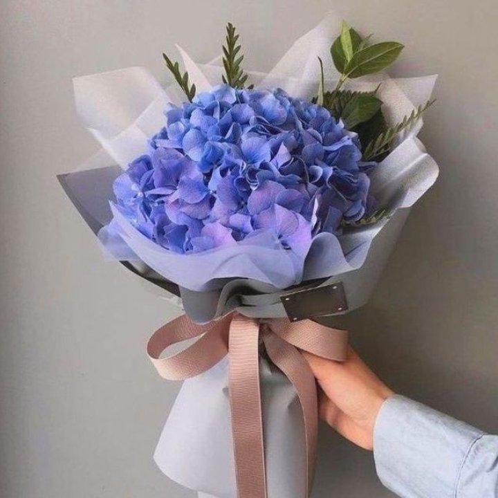 Гортензия голубая в Дзержинске