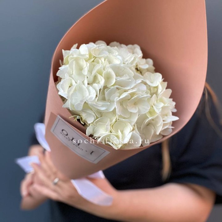 Гортензия в конверте в Дзержинске