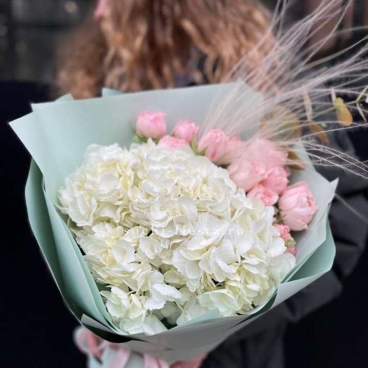 Гортензия "Жасмин" в Дзержинске