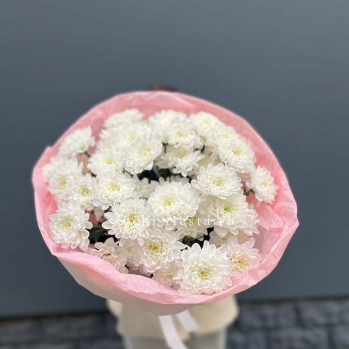  5 хризантем  в Дзержинске