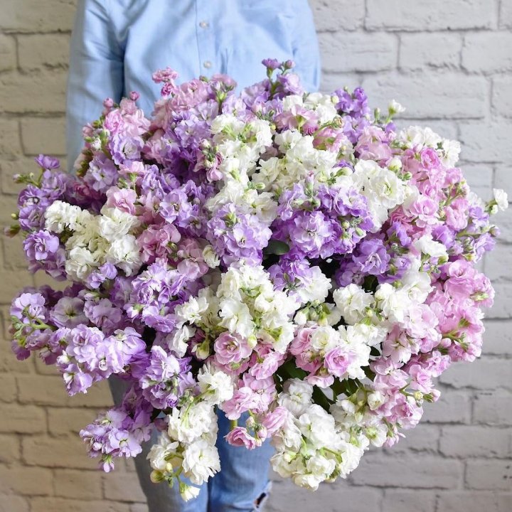 Облако маттиол в Дзержинске