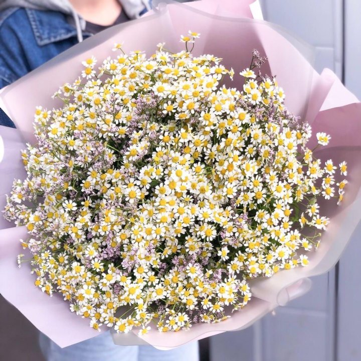 Букет ромашек №1 в Дзержинске