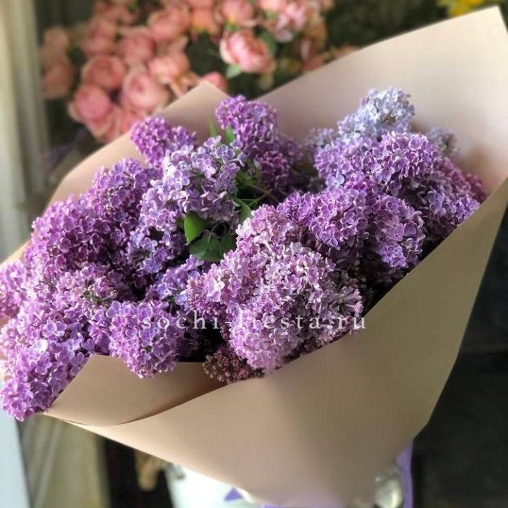 Букет сирени №2 в Дзержинске