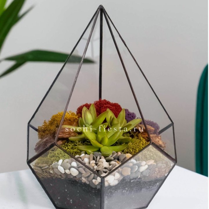 Флорариум Капля с суккулентом в Дзержинске