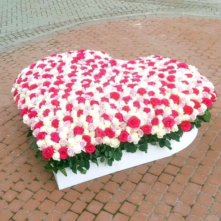 555 роза  в Дзержинске