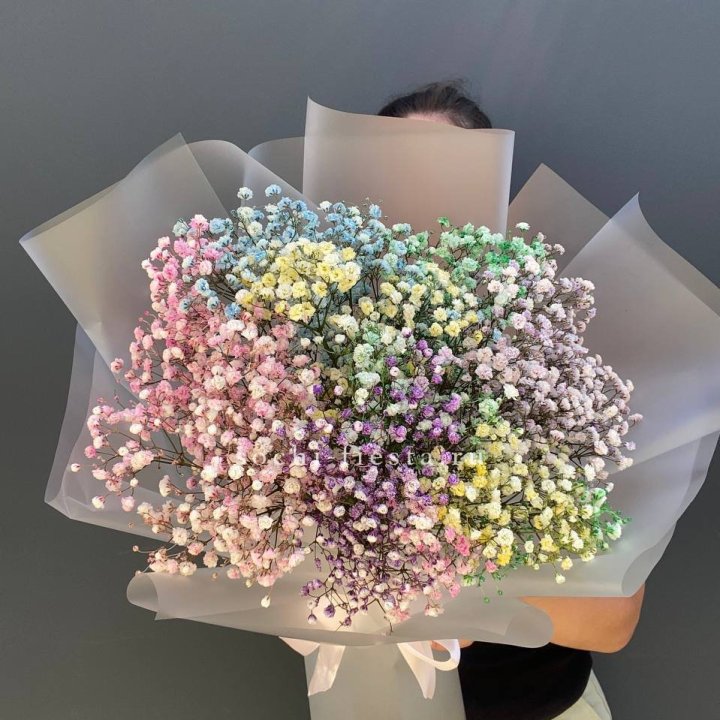 Радужные гипсофилы  в Дзержинске