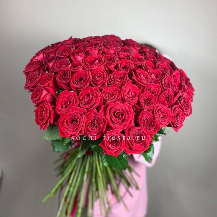 101  голландская роза  в Дзержинске