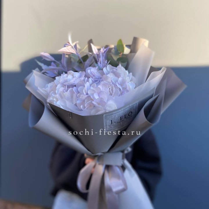 Гортензия "Виолета" в Дзержинске