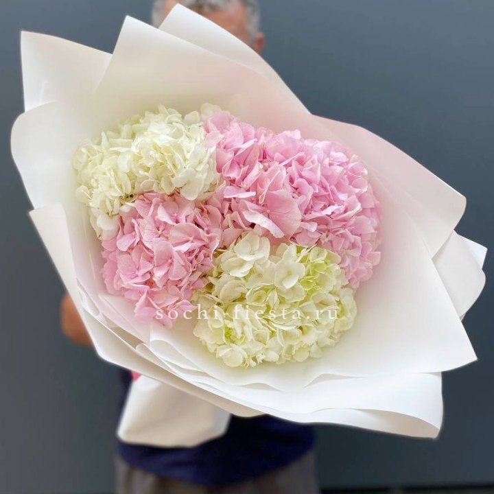 Букет гортензий №5 в Дзержинске