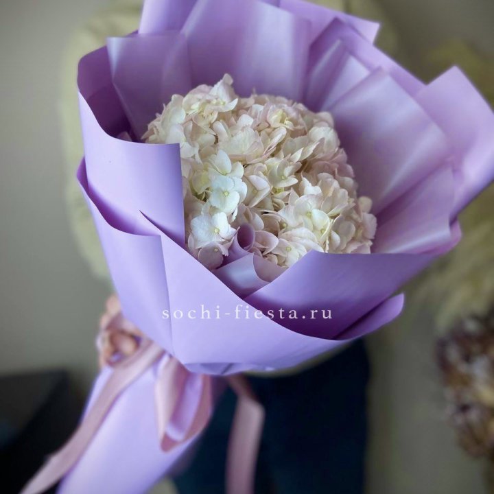 Гортензия розовая в Дзержинске