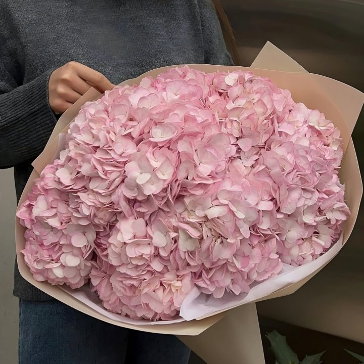 Гортензия  "РОЗЕ" в Дзержинске