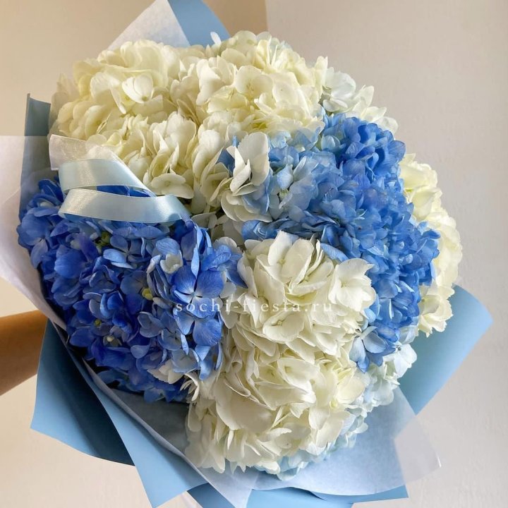 Букет гортензий "Голубая лаза" в Дзержинске