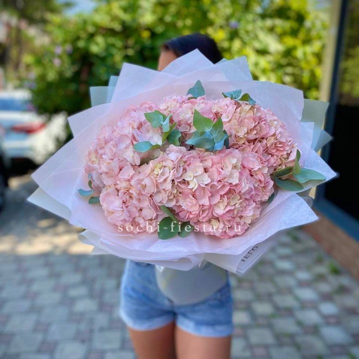 5 розовых гортензий  в Дзержинске