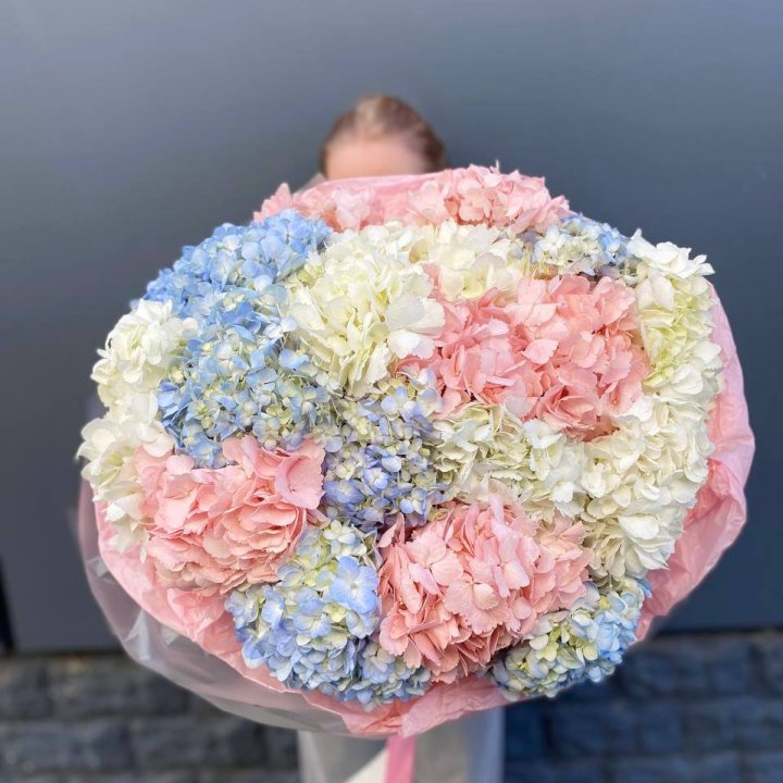 19 гортензий микс в Дзержинске