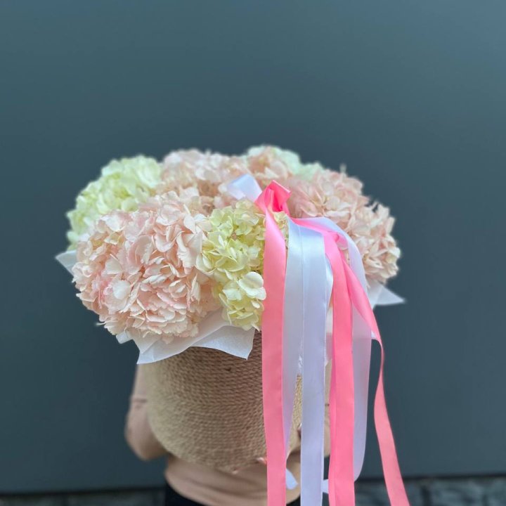 7 гортензий в кашпо в Дзержинске