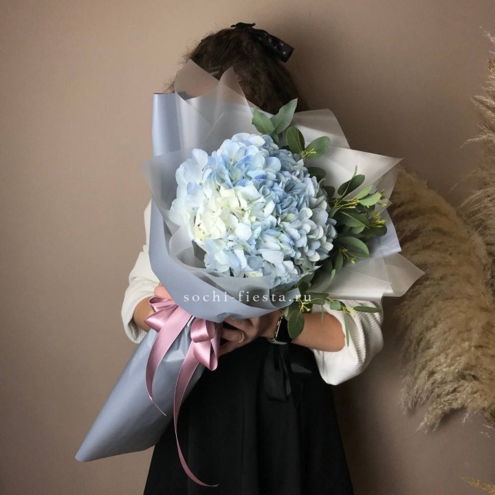 Гортензия Уно в Дзержинске