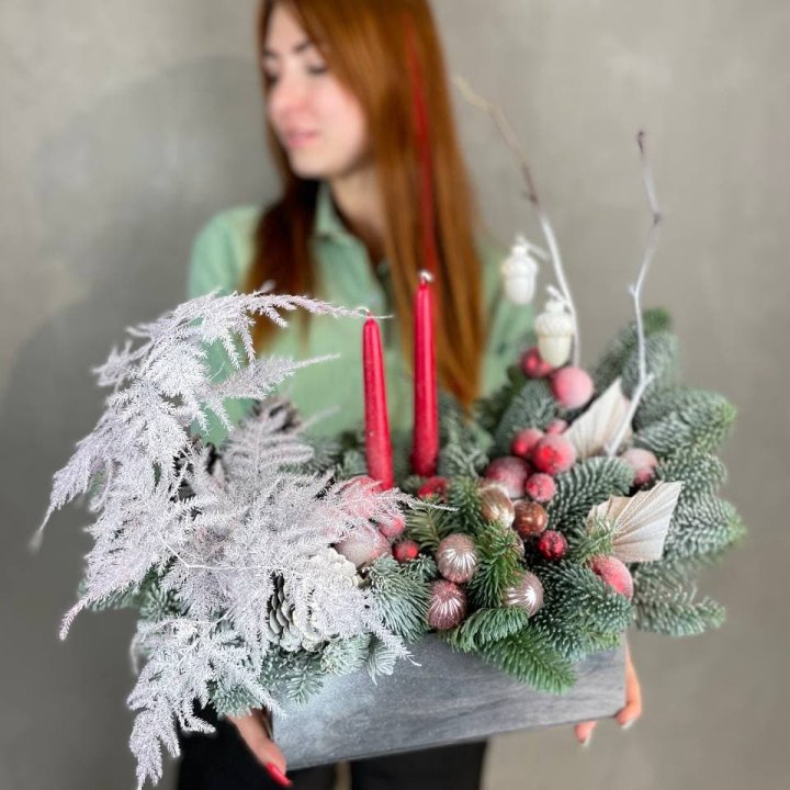 Бокс красный с нобилисом в Дзержинске