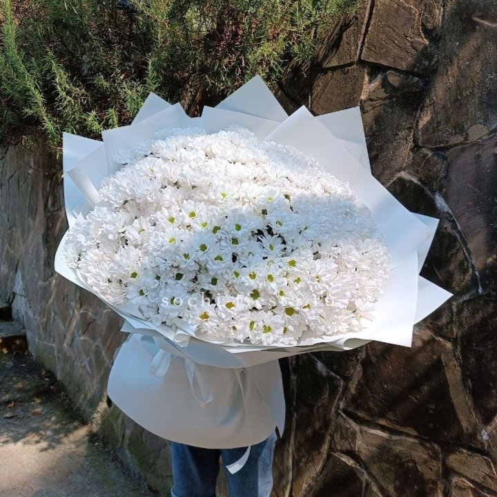 Облако хризантем №2 в Дзержинске