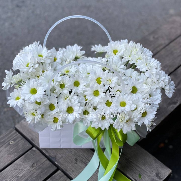 Сумка с хризантемами ромашками в Дзержинске