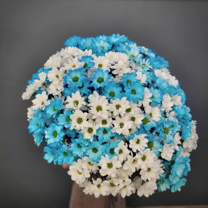  Букет хризантем микс в Дзержинске