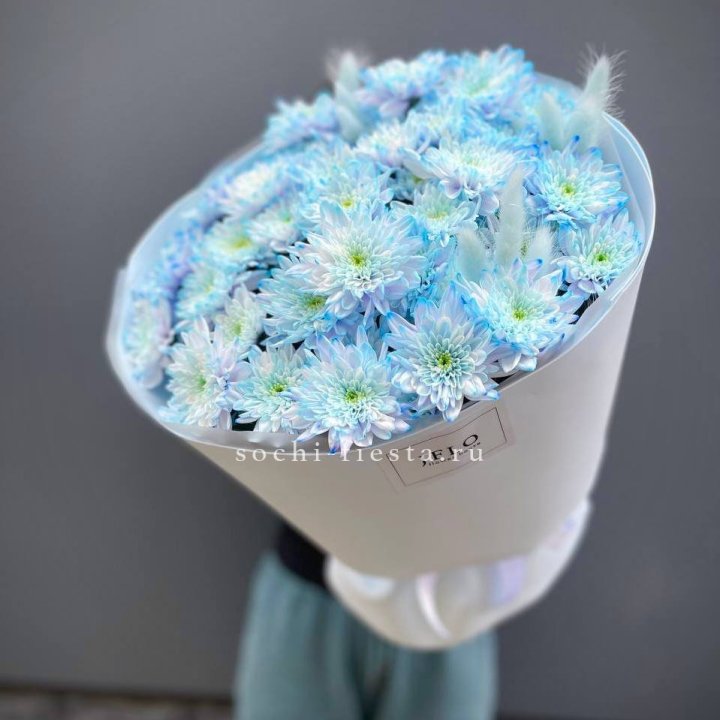  Букет нежно-голубых хризантем  в Дзержинске