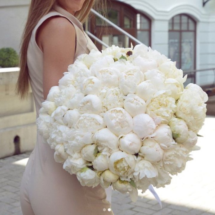 51 белый пион в Дзержинске