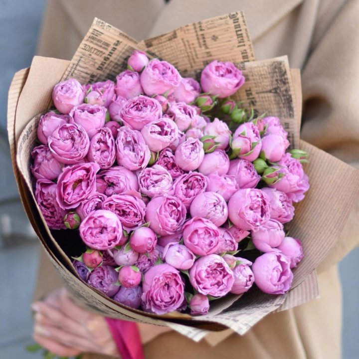 Роза Мисти Баблс в Дзержинске