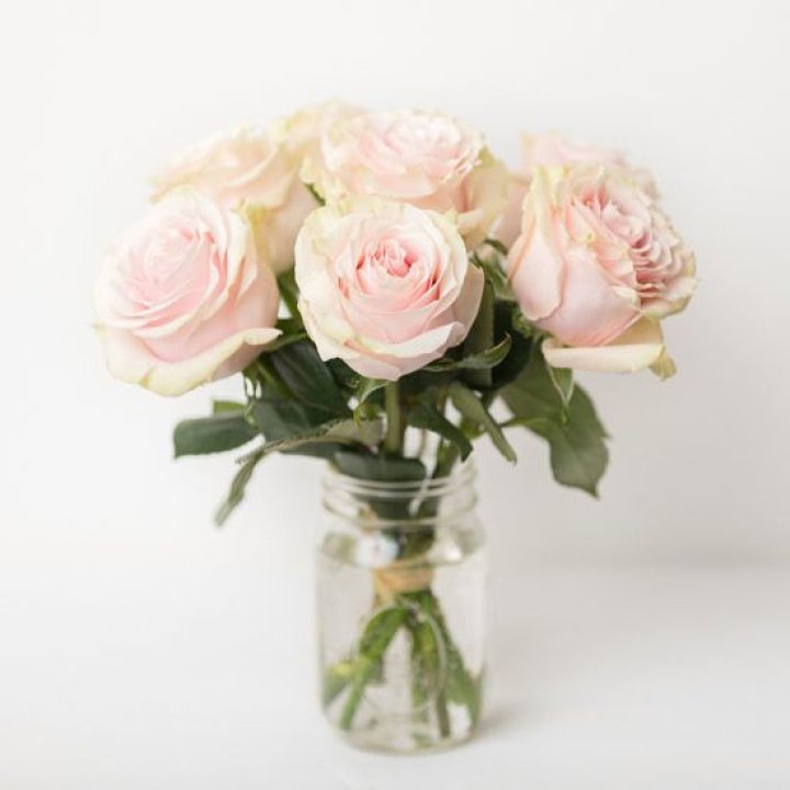 7 кремовых роз в Дзержинске