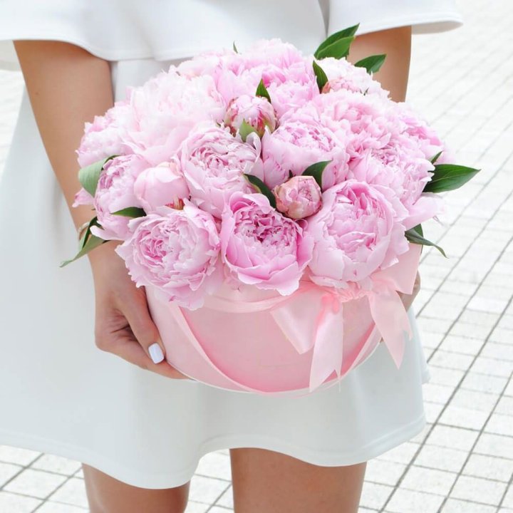 Пионы в шляпной коробке в Дзержинске