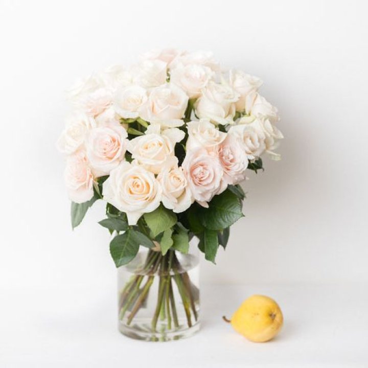 25 кремовых роз в Дзержинске