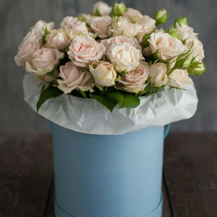 Бокс с бомбастиком в Дзержинске