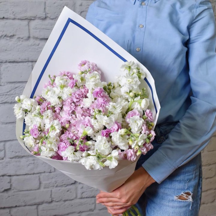 Маттиола в Дзержинске