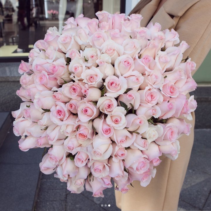 Розы "Пинк бум" в Дзержинске