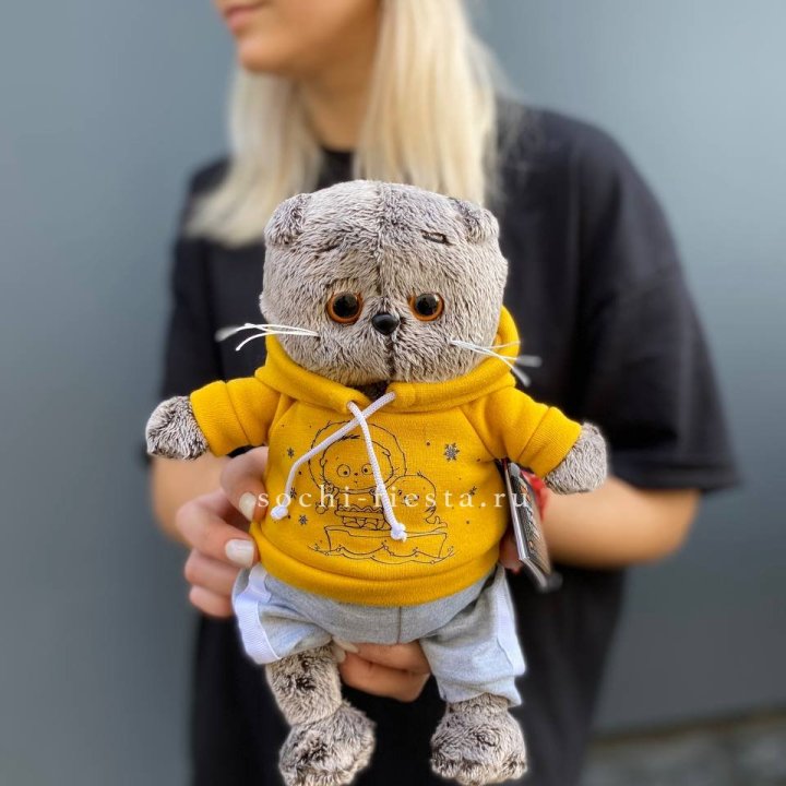 Кот Басик в худи в Дзержинске