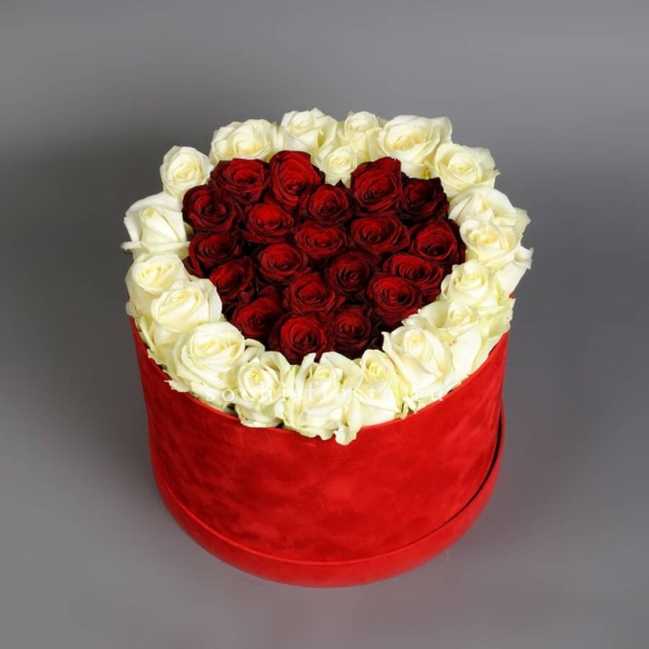 39 красных и белых роз в цилиндре в Дзержинске